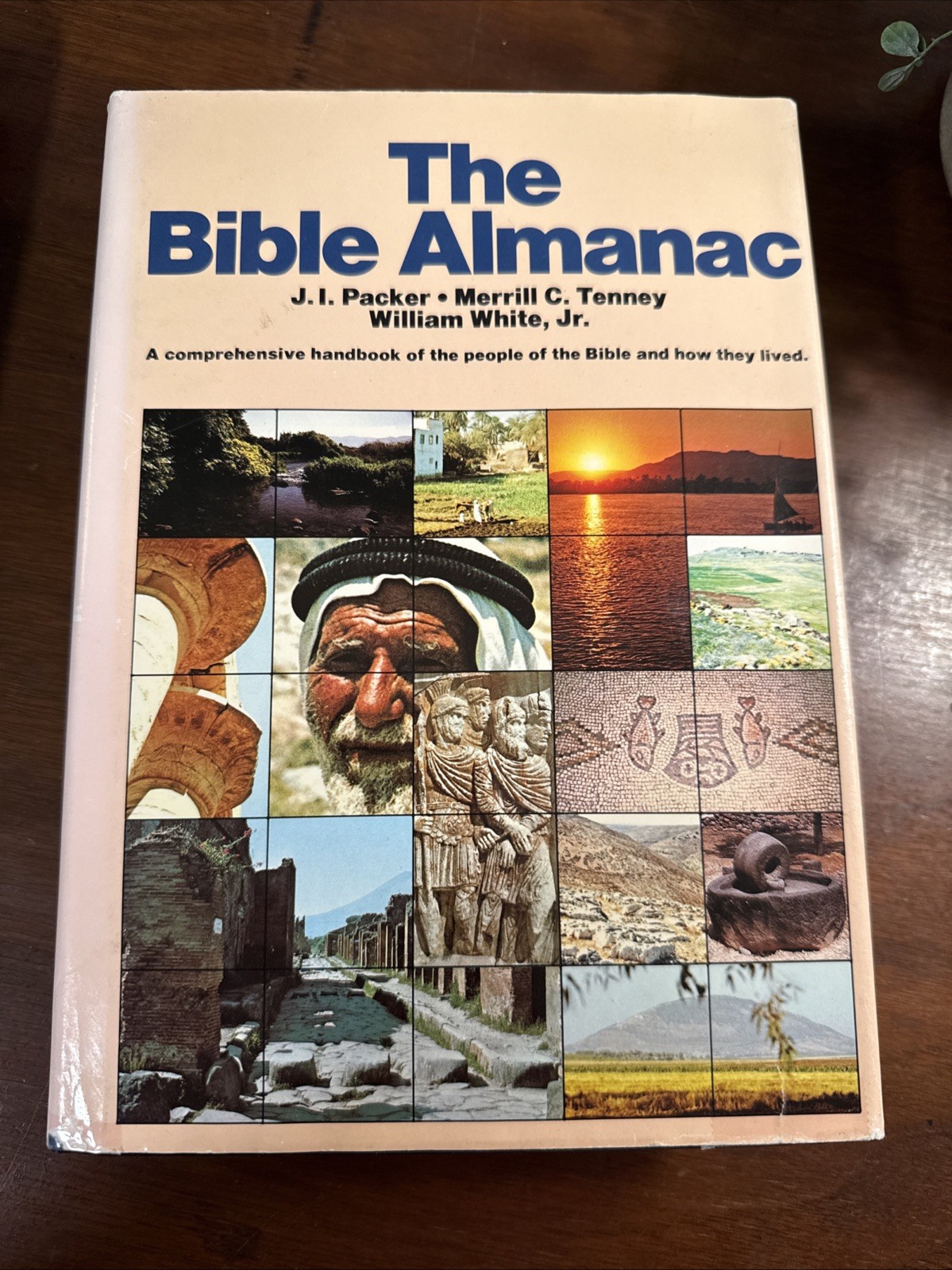 The Bible Almanac: A Comprehensive Handbook of the People of the Bible