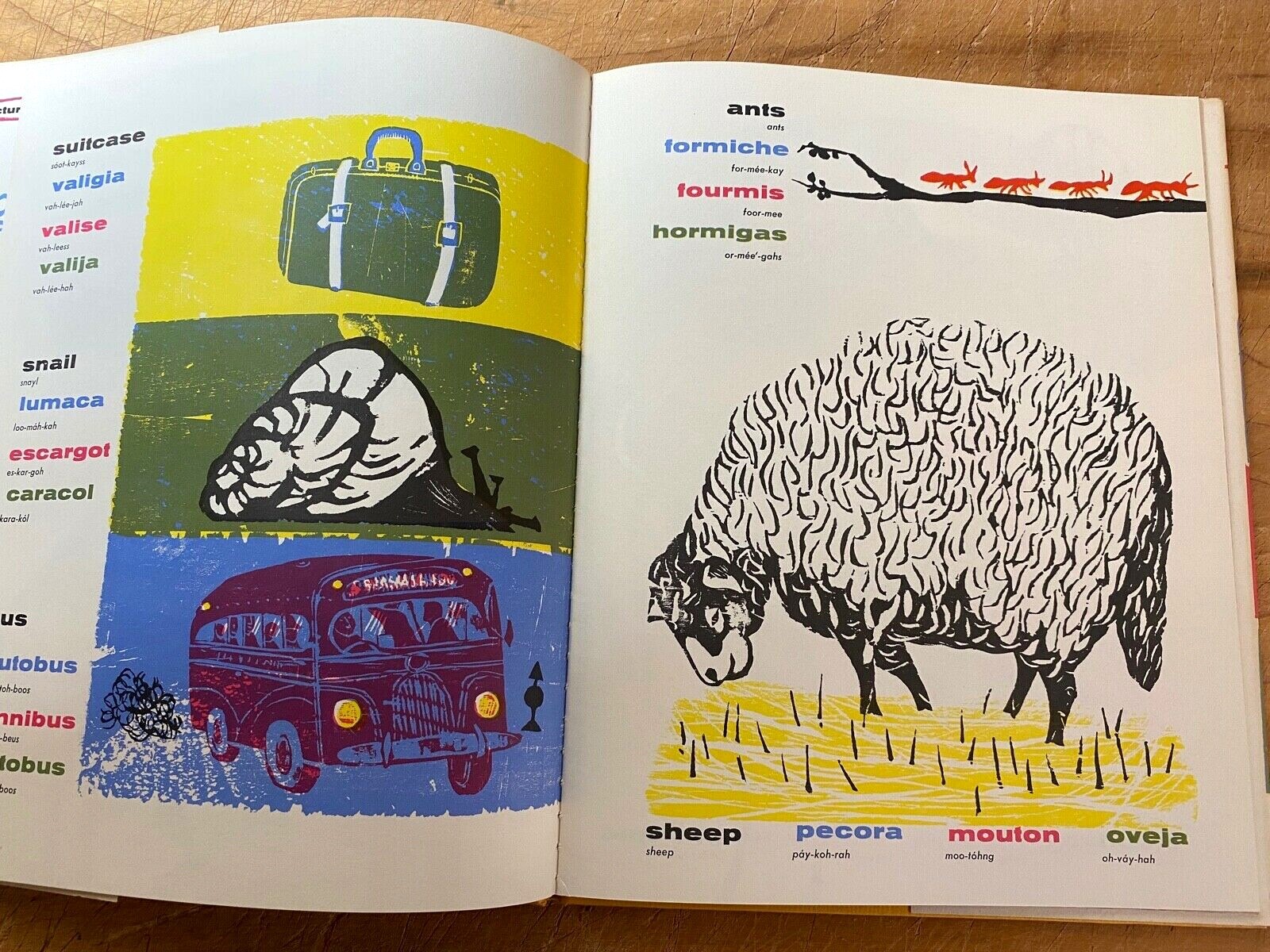 SAY & SEE IN FOUR LANGUAGES-FRASCONI 1955 1ST-RARE ILLUS CHILDRENS CLASSIC HB-NF