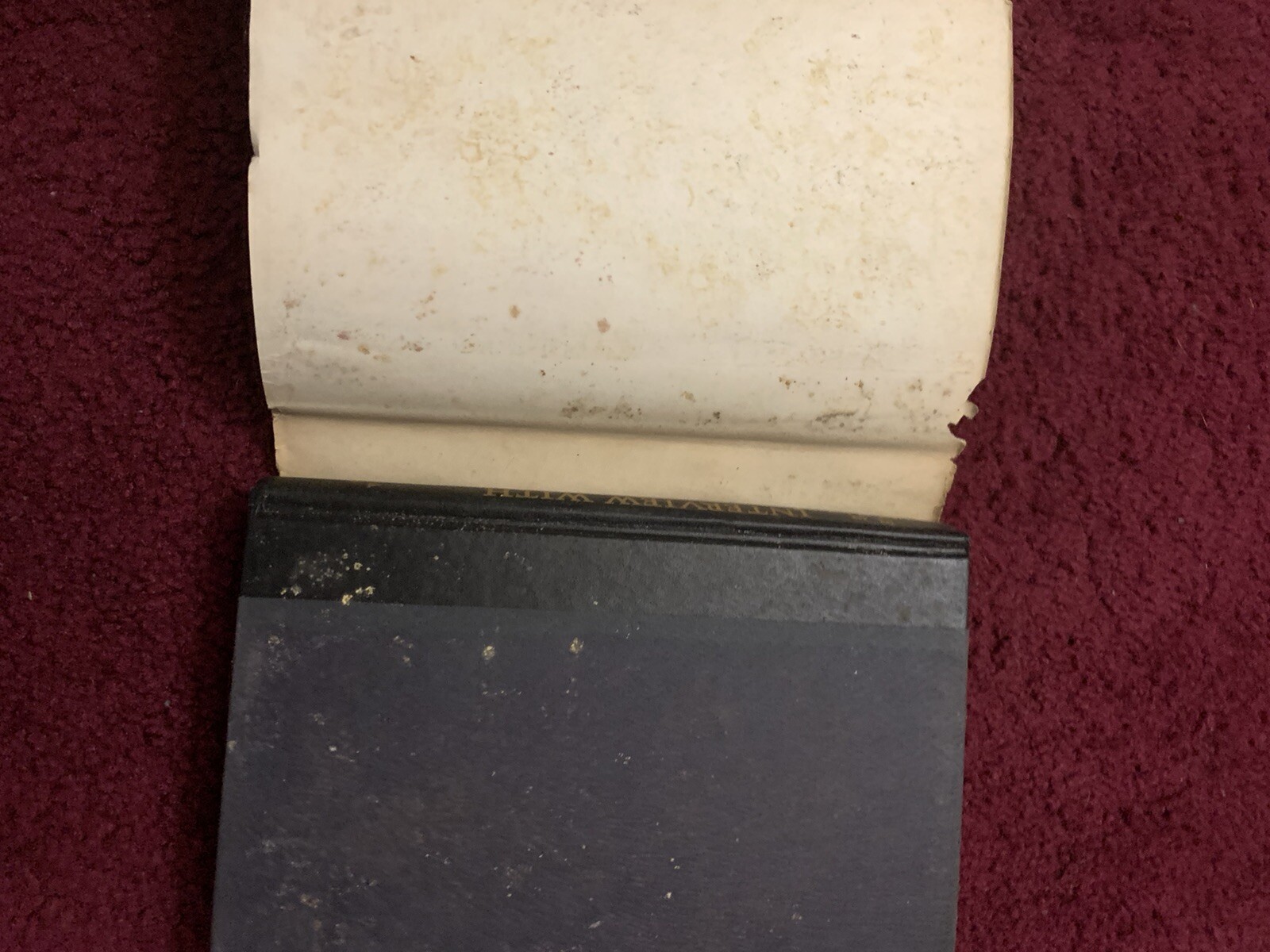 Interview With The Vampire, Ann Rice First Edition
