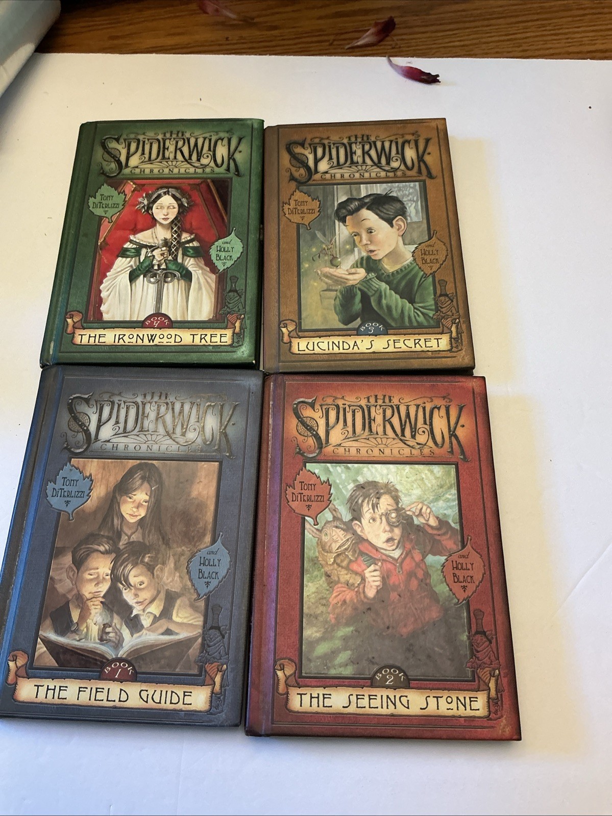 The Spiderwick Chronicles Series All 4 Books in Hardcover Box Lot Set