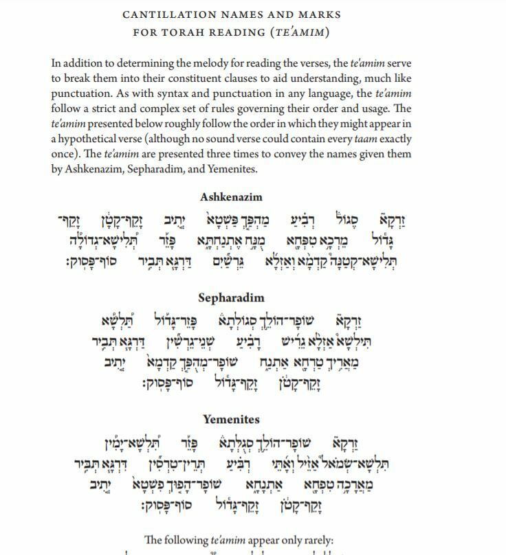 Koren Sacks Hebrew English Compact Softcover Travel Edition Torah Tanach Bible