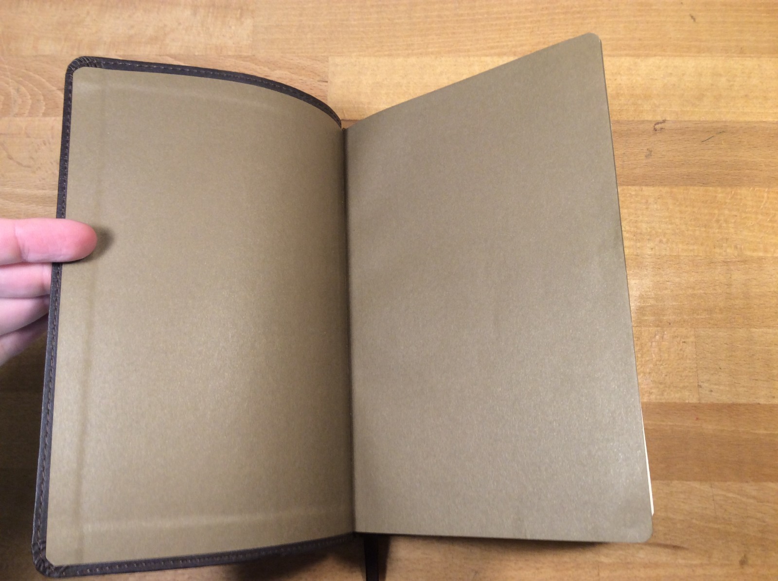Holy Bible Slimline Reference Edition, New Living Translation, NLT, Tyndale