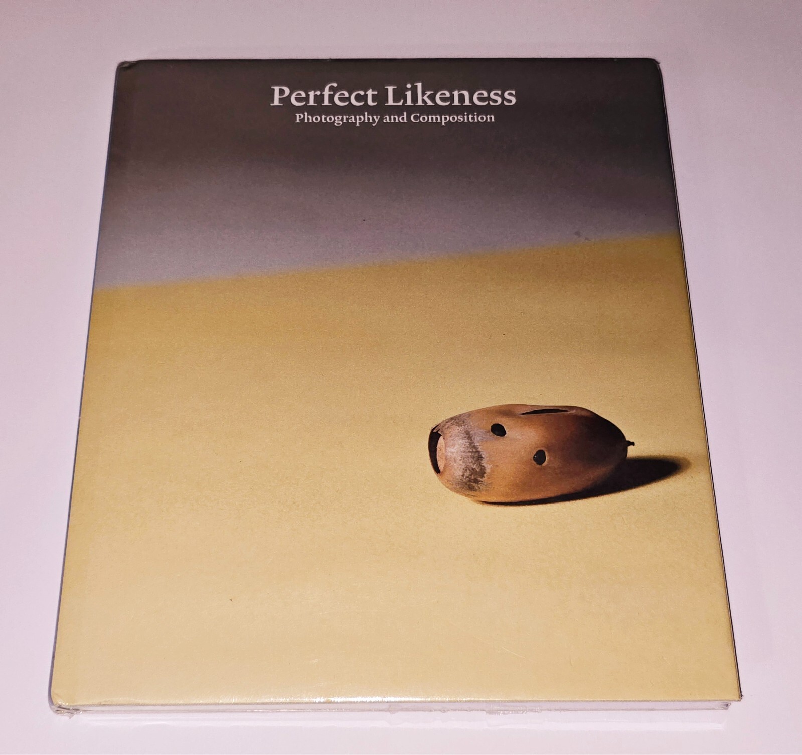 PERFECT LIKENESS SEALED WILLIAM EGGLESTON PHOTOGRAPHY COMPOSITION ART PHOTO BOOK