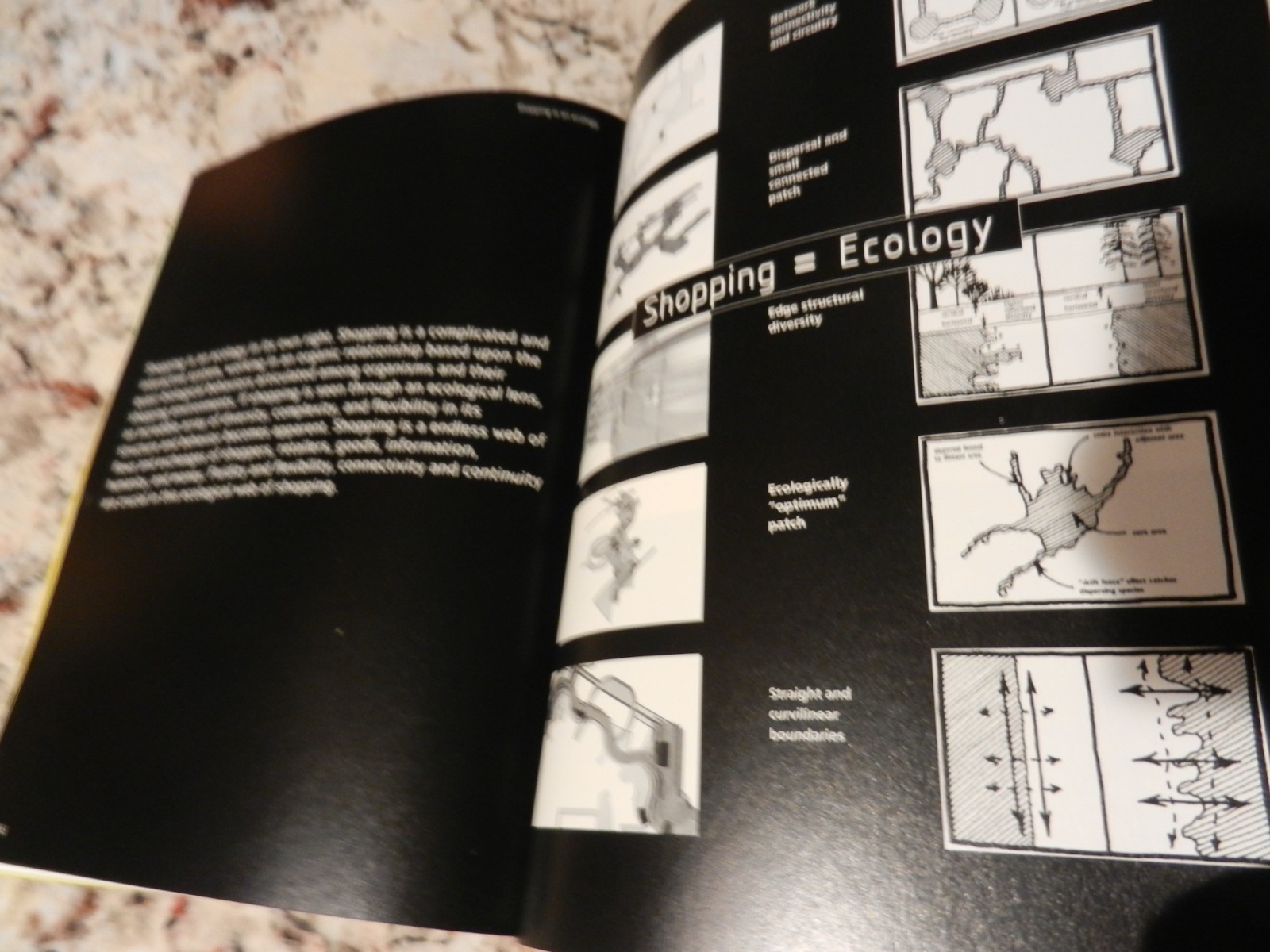 MUTATIONS 2003 REM KOOLHAAS ‘hard’ softcover book Architecture Environment — A+
