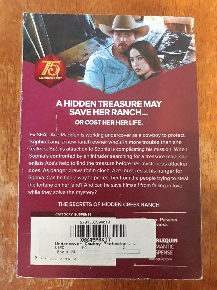 Undercover Cowboy Protector The Secrets of Hidden Creek Book 1 by Kacy Cross