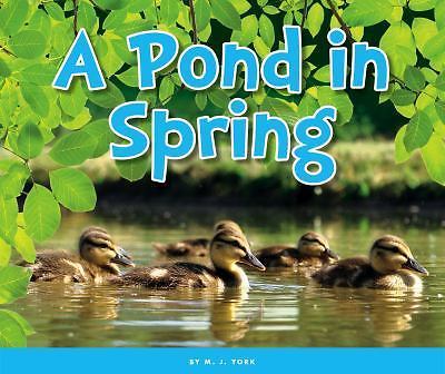 A Pond in Spring by York, M. J.