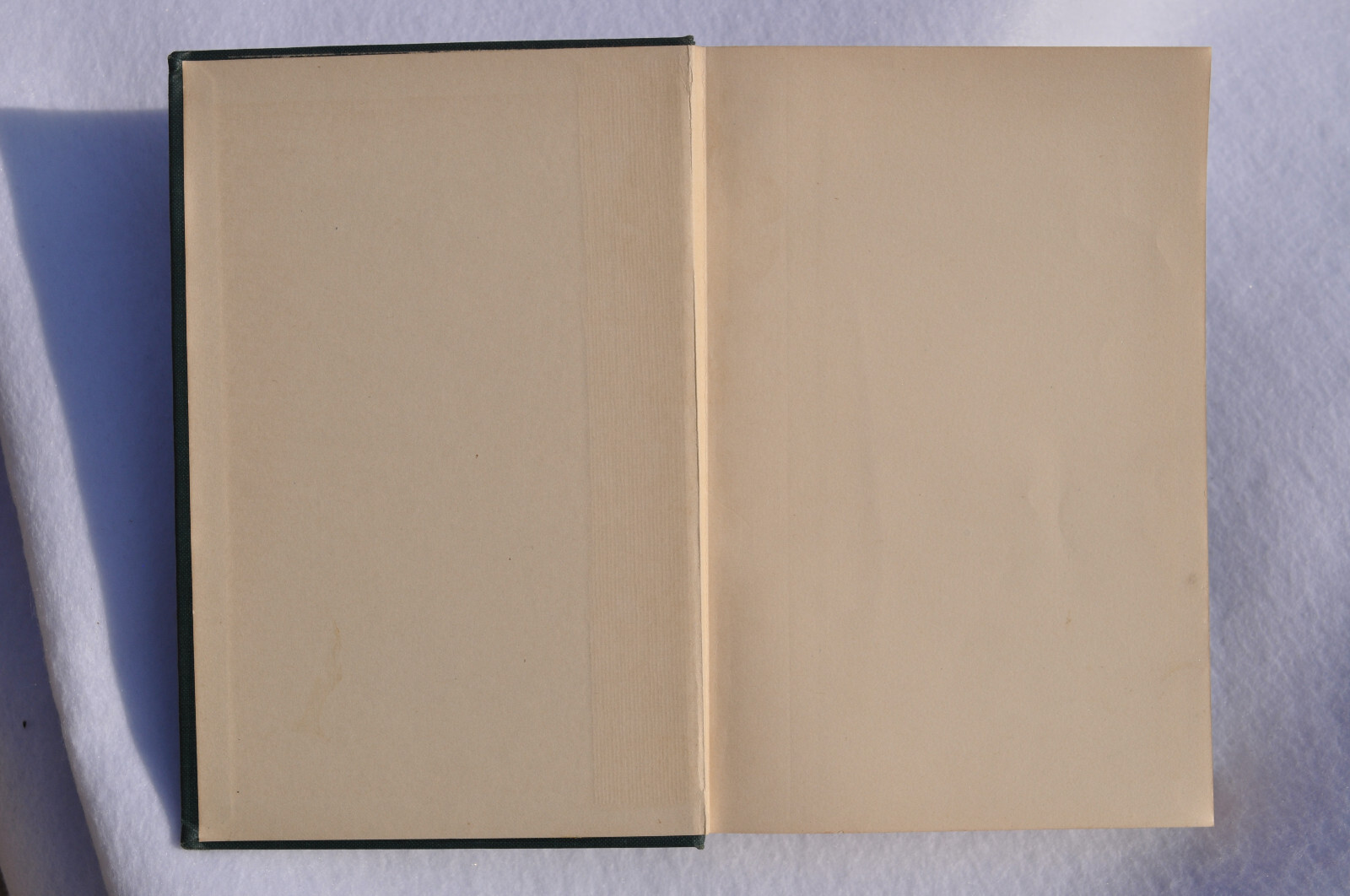 Through Judy’s Eyes; E. Elizabeth Vickland; Judson Press 1924-Christian Missions