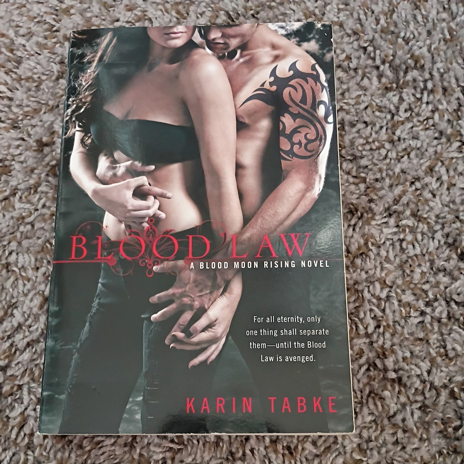 Blood Law by Karin Tabke (2011, Uk-B Format Paperback)