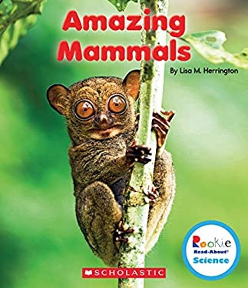 Amazing Mammals Paperback Lisa M. Herrington
