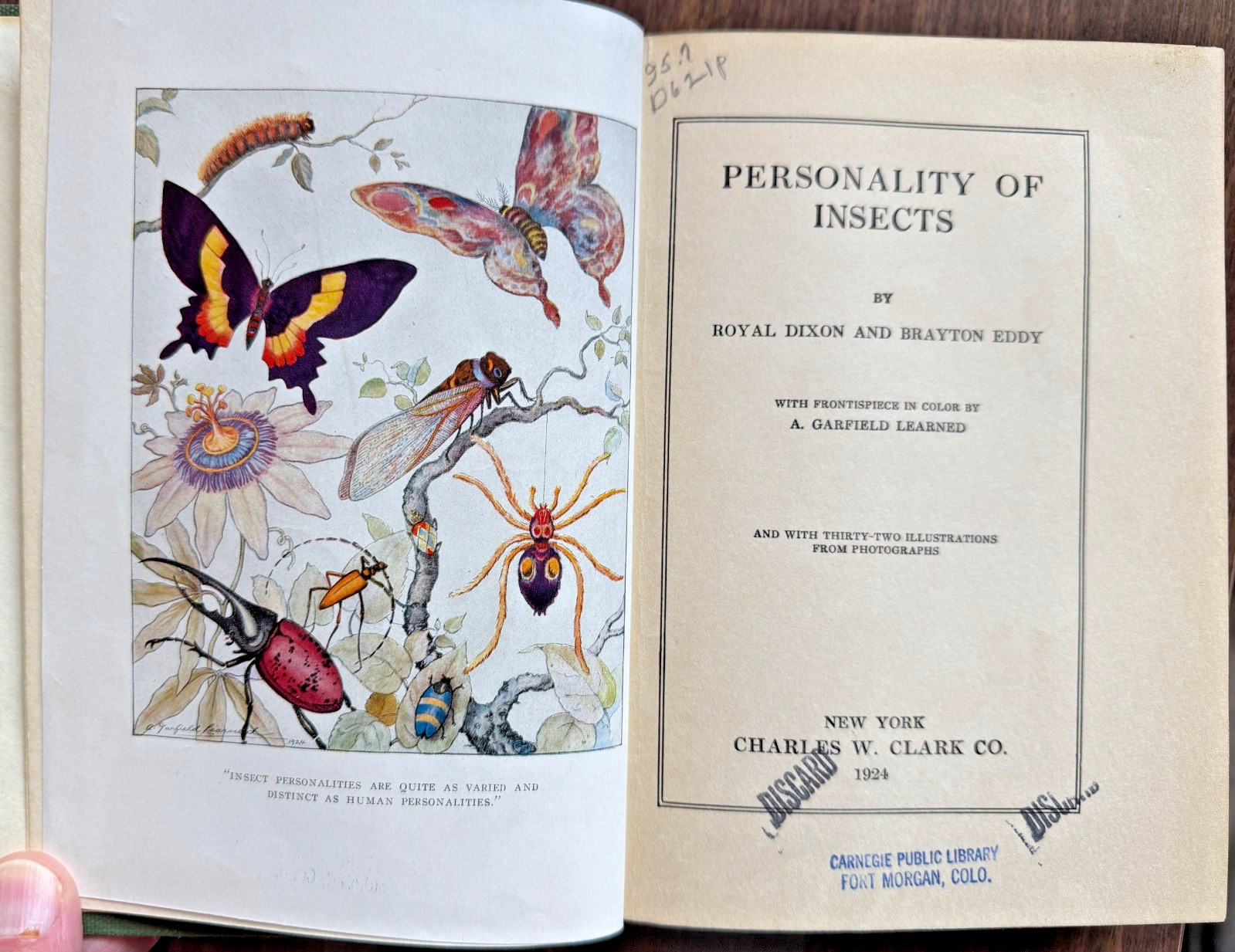 1924 1st Ed PERSONALITY of INSECTS by R. Dixon & B. Eddy HB/247pp/ILLUSTRATED