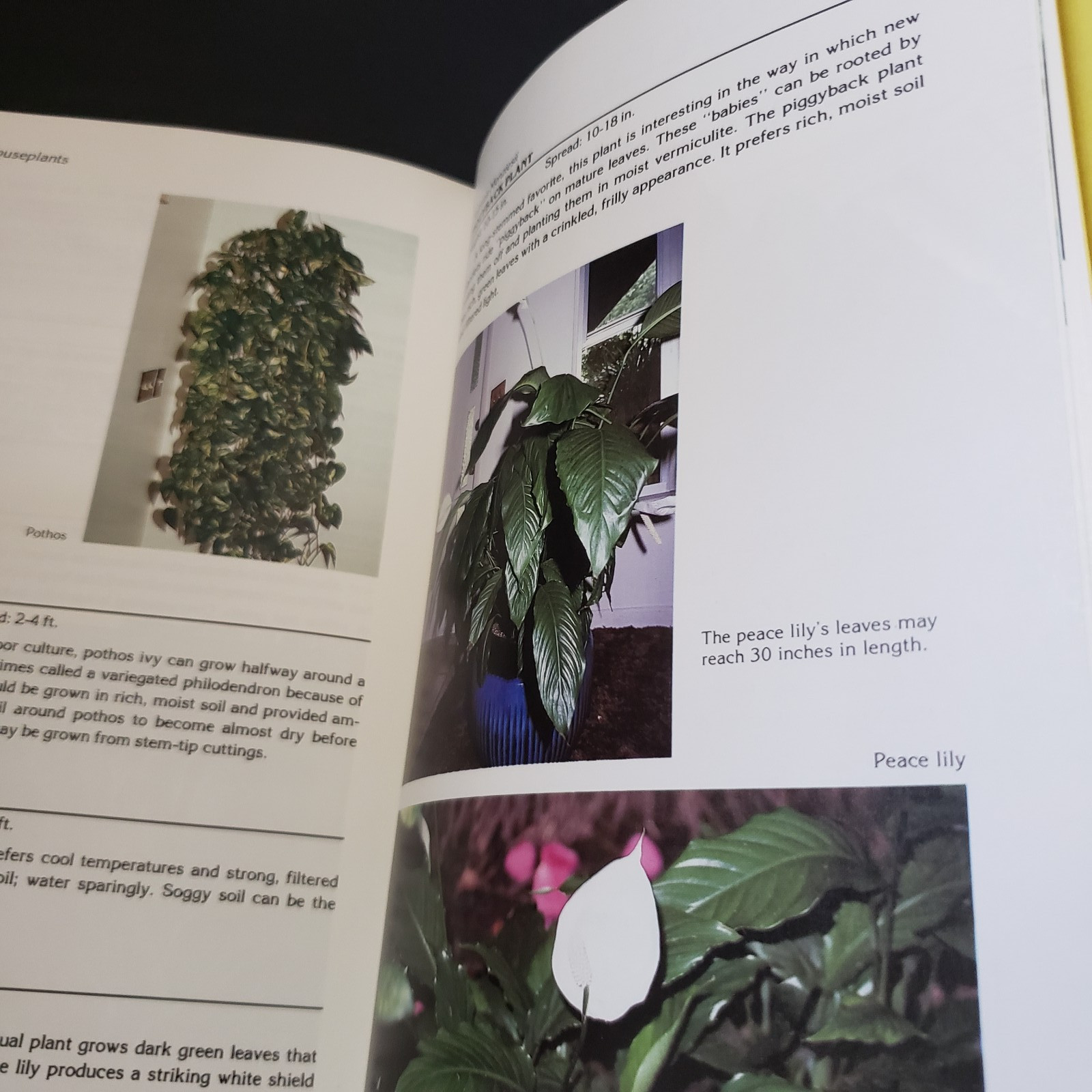 Vintage Complete Guide to Florida Gardening Hardback Book By Stan DeFreitas 1987