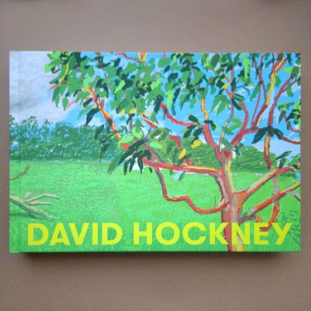 David Hockney Exhibition Official Catalogue Book 248 pages Tokyo From Japan