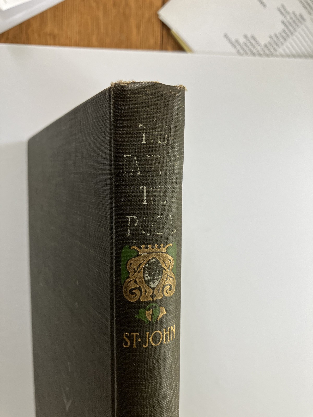 The Face In The Pool: A Faerie Tale, J. Allen St. John, 1st Ed, 1905, Signed