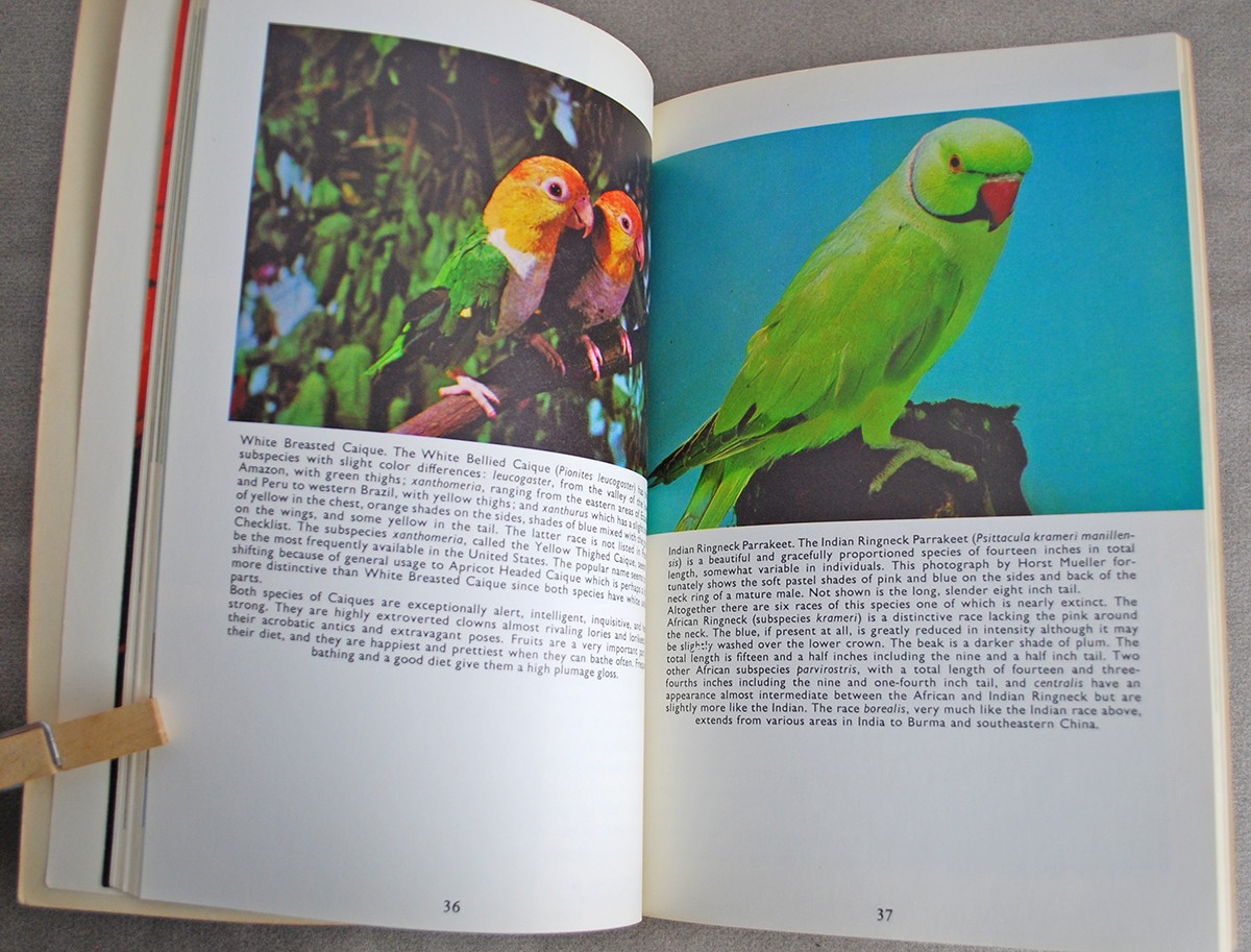 1967 Book Halfmoons & Dwarf Parrots by William Allen