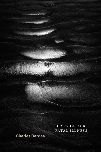 Diary Of Our Fatal Illness