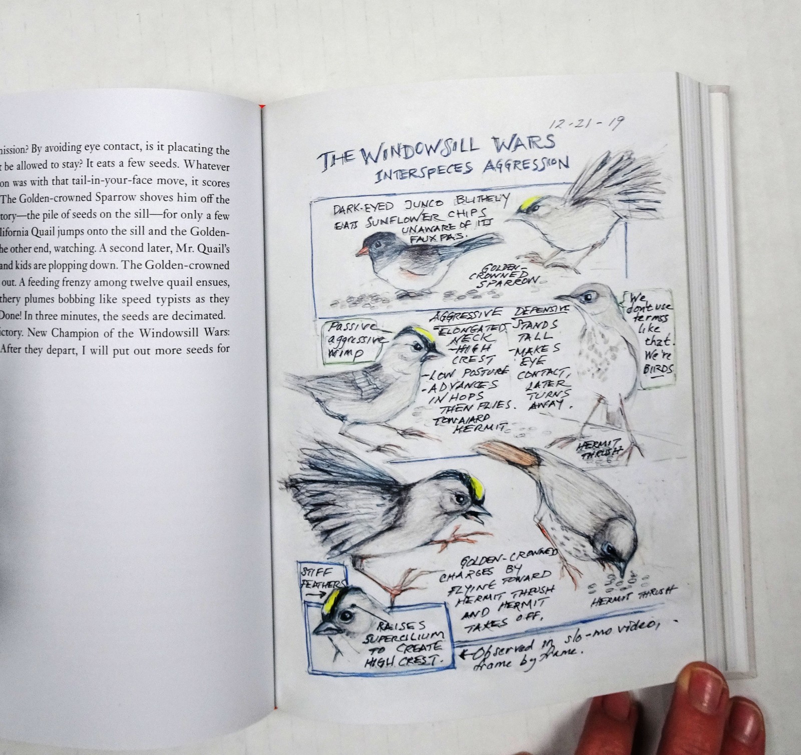 The Backyard Bird Chronicles Book Amy Tan Flexibound Dust Jacket Illustrated New