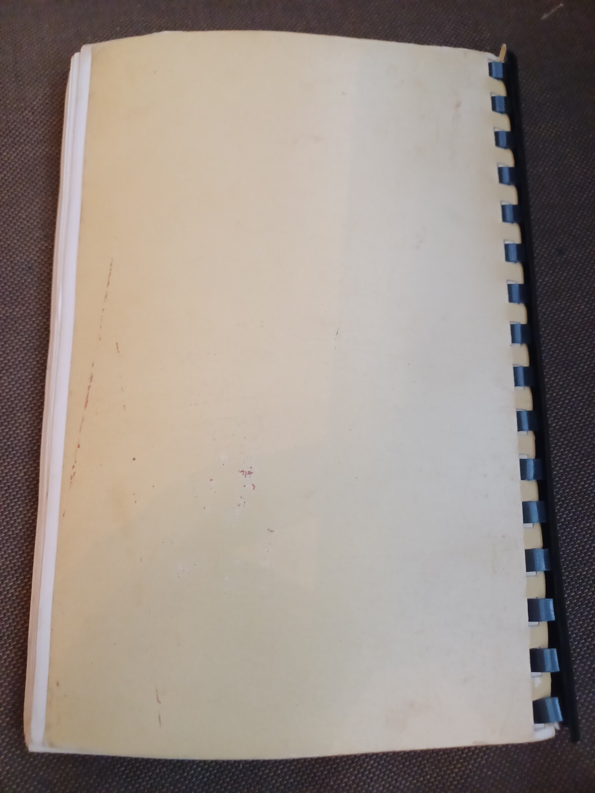 Timber-Lee Christian Center 1982 Cookbook Spiral Ring church recipes 207 Pages