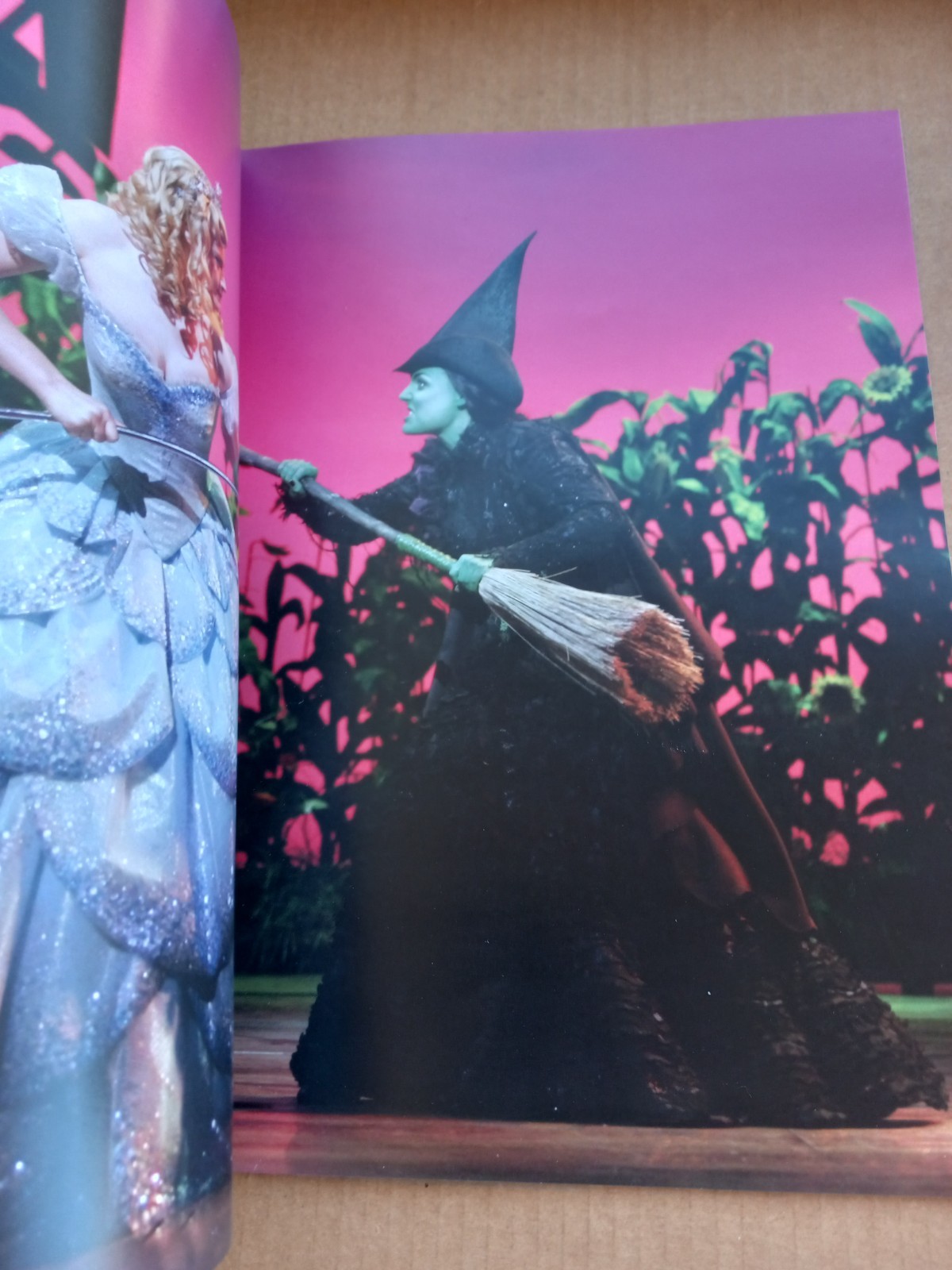 Wicked Musical Brochure Theatre Program Souvenir Booklet 2006