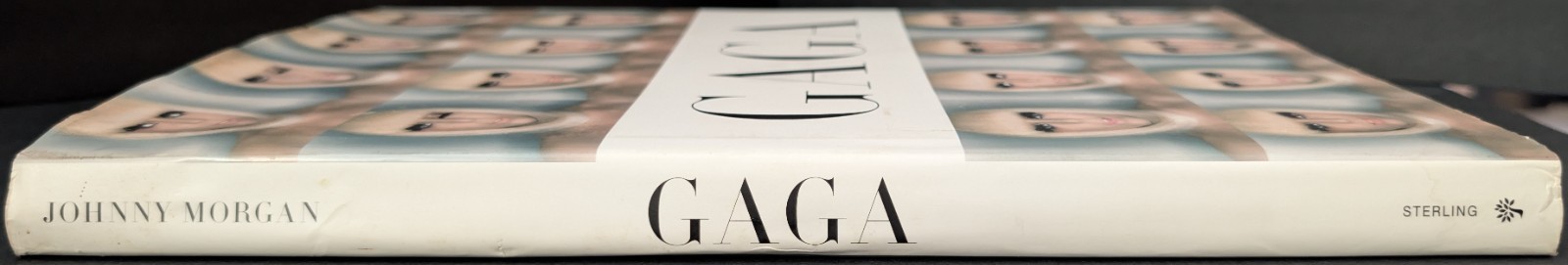 Johnny Morgan Gaga 2010 Book Hardcover 160 Pages *PLEASE READ*