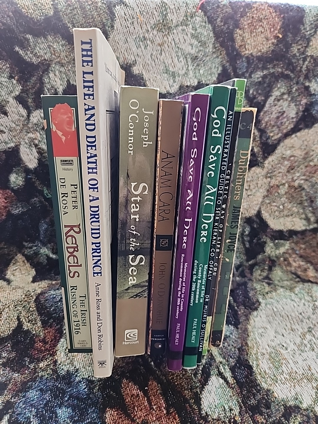 Irish/Celtic Studies Book Lot