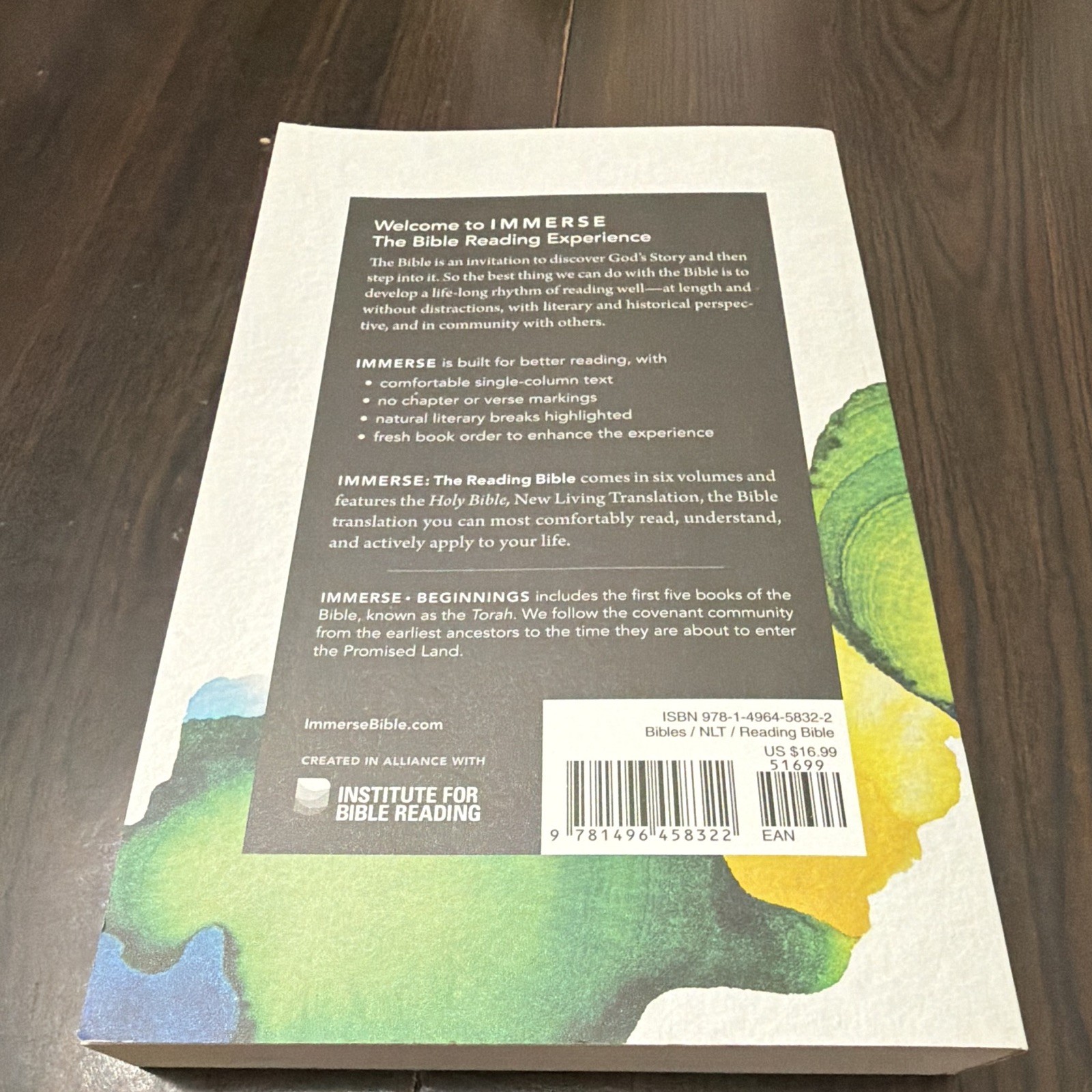 Immerse: The Reading Bible Beginnings New Living Translation PB 2021
