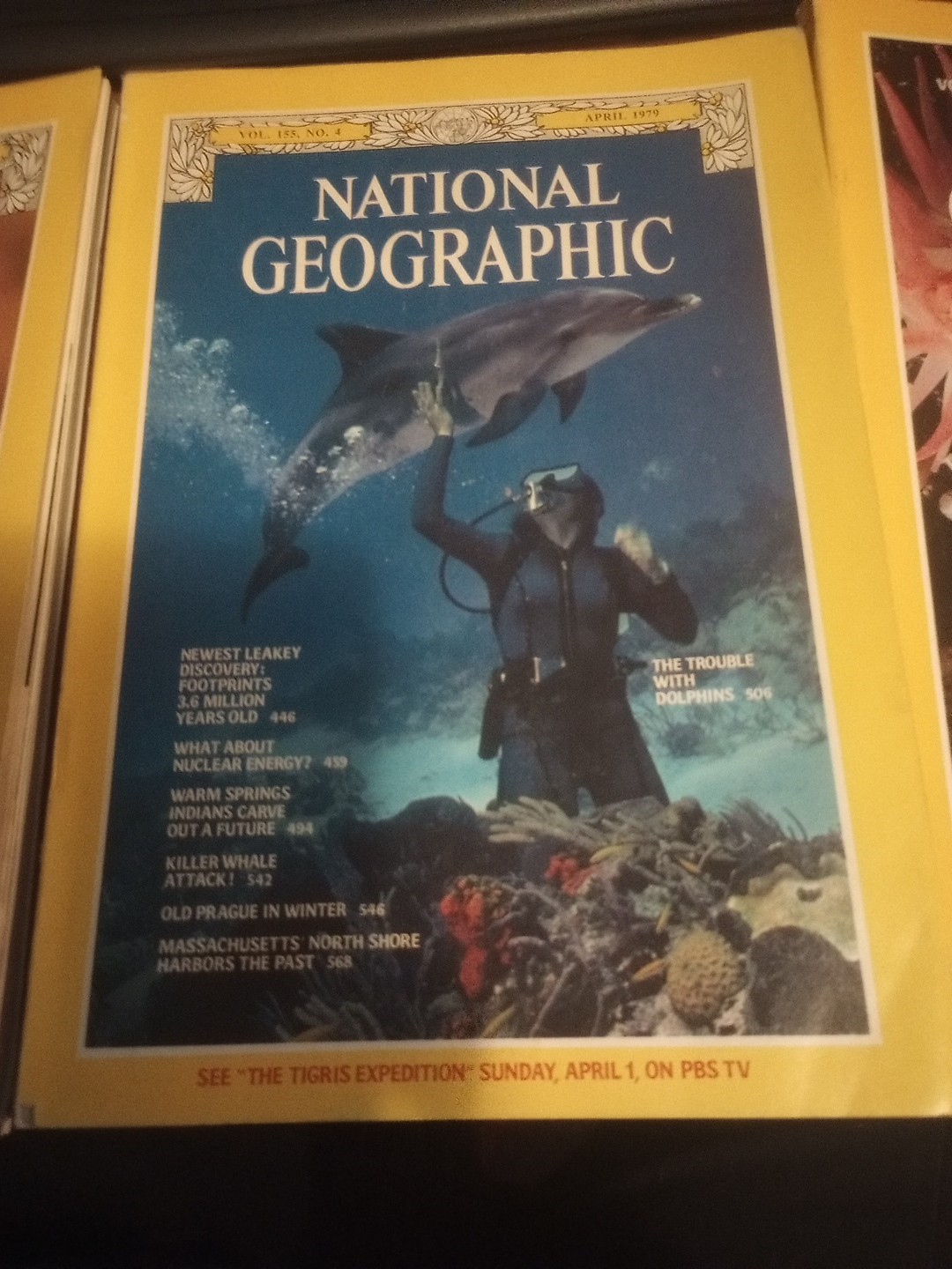 National Geographic Magazines 1976- 1983 You Pick The Issues 2.50-4.00
