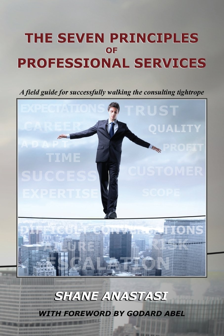 The Seven Principles of Professional Services: A field guide for successfull…