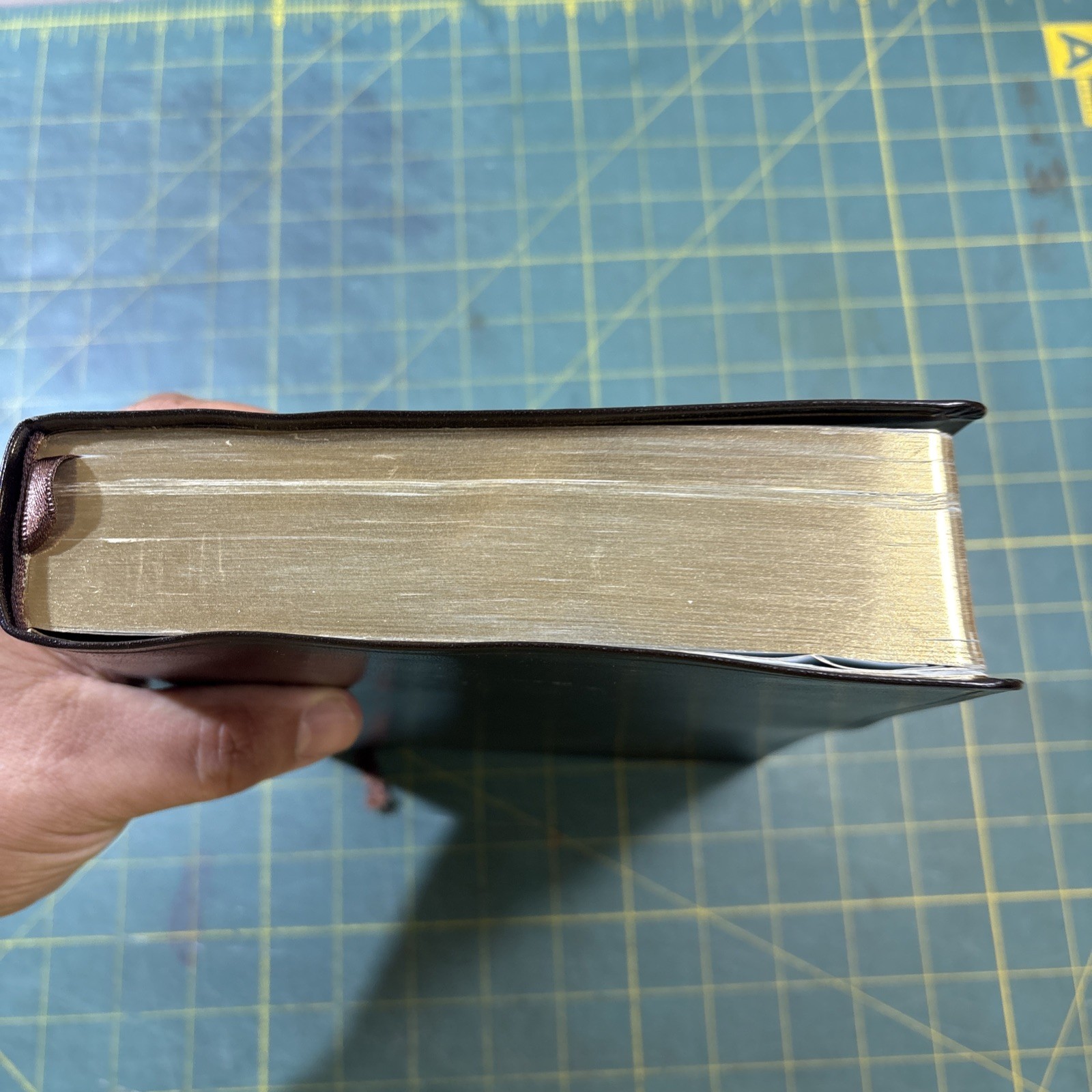 KJV 2013 Rainbow Study Bible Brown Bonded Leather