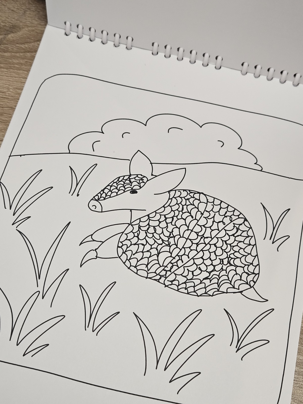 Rainforest Pals Coloring Book 20 Coloring Pages on 150gsm Paper