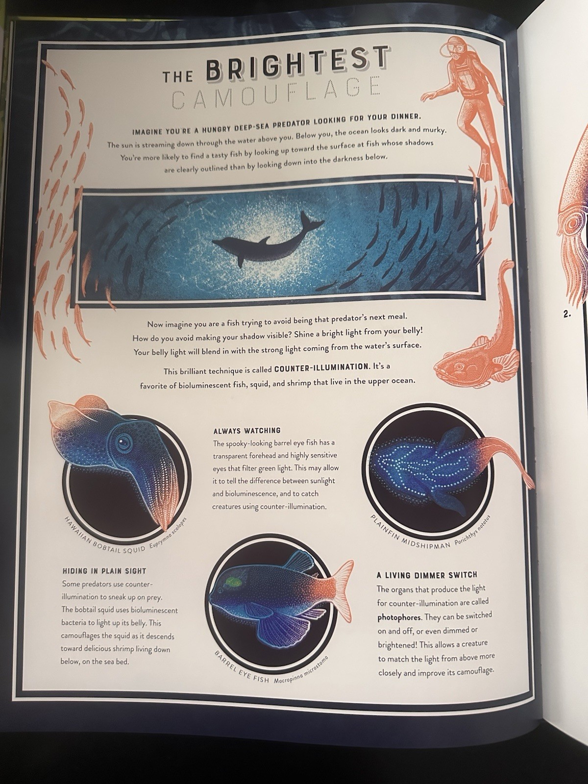 Glow: Wild Wonders of Bioluminescence Jennifer N.R. Smith Hardcover, Ages 9-12
