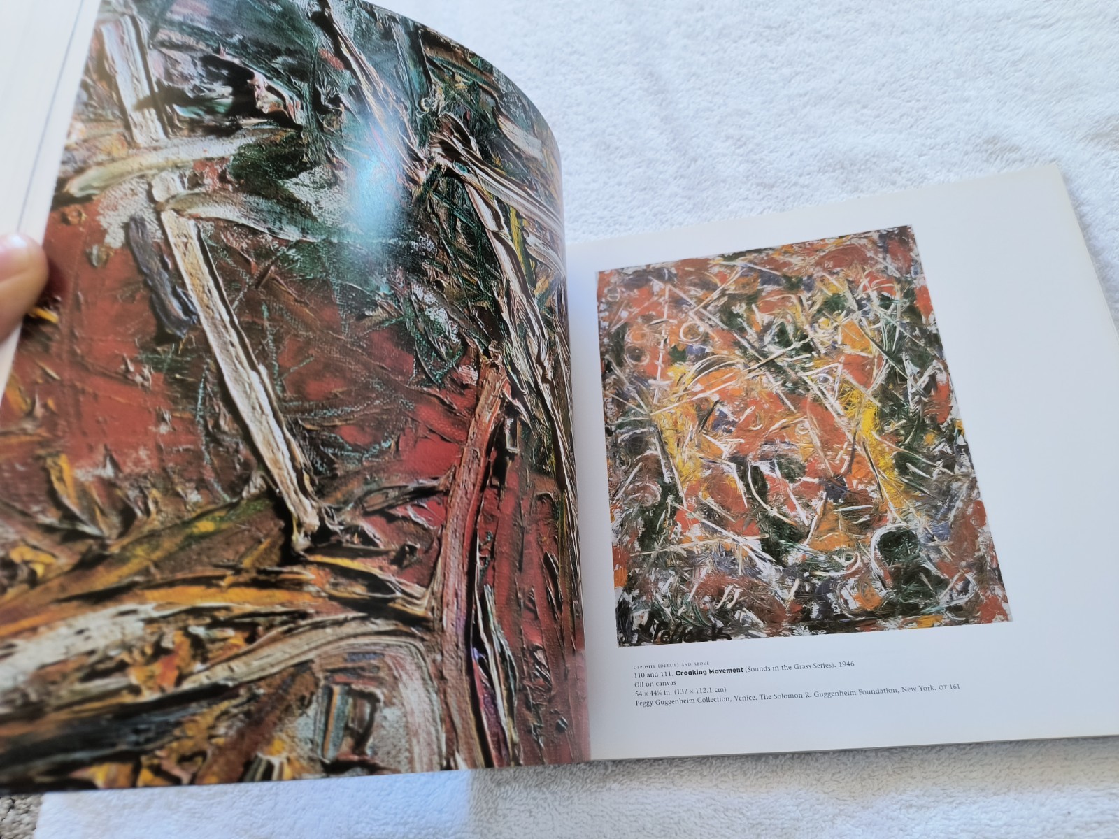 Jackson Pollock (1998 Paperback) Fine Arts Museum of Modern Art American Artist