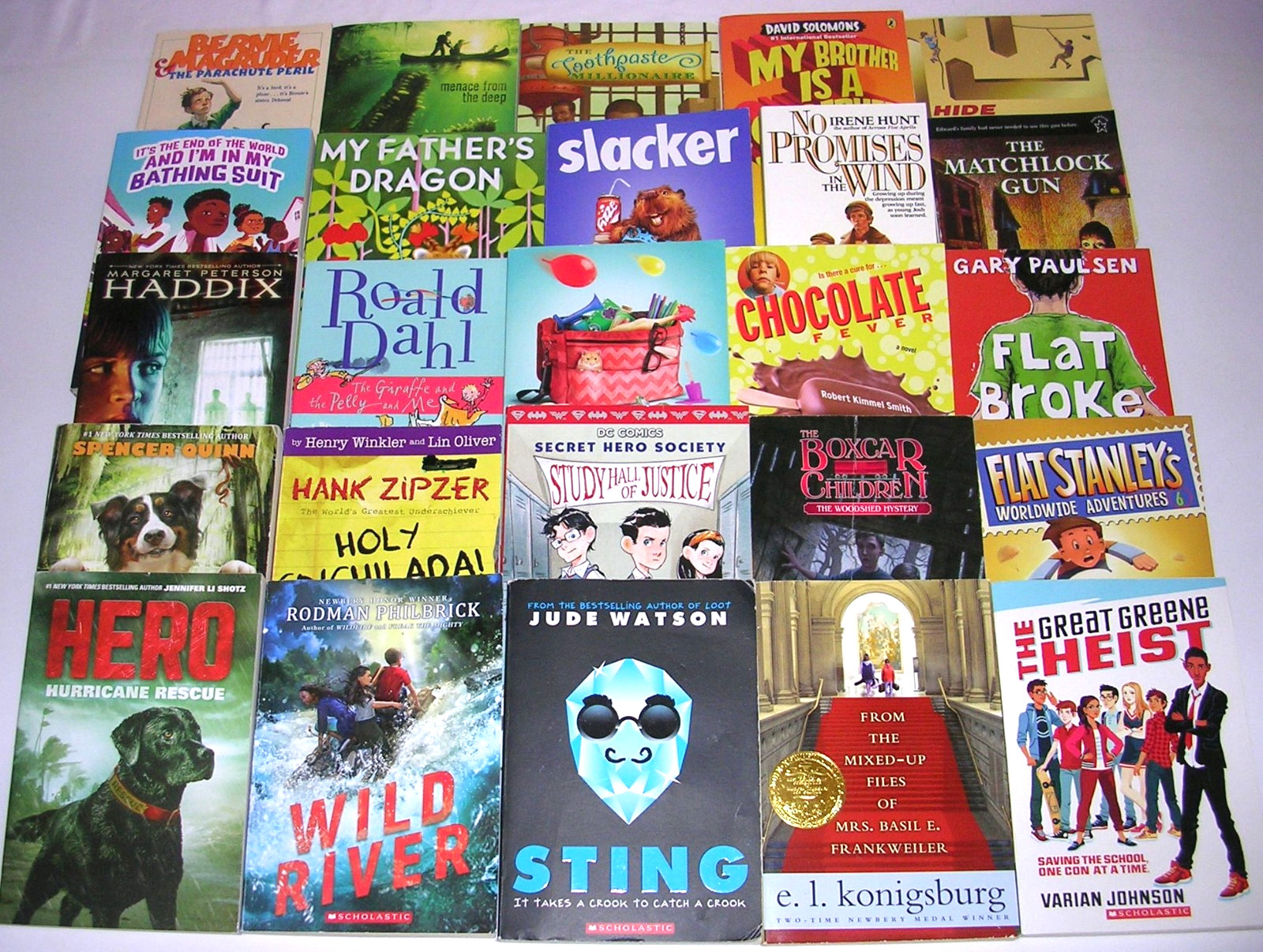 Lot 25 BOYS Reading Level 4 – 5 ACCELERATED READERS 4th 5th + Grade AR Chapter