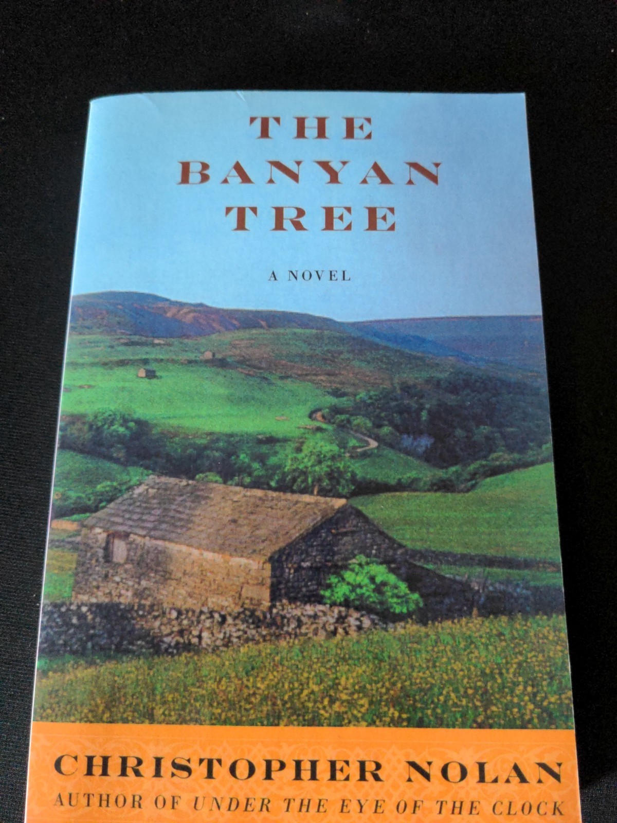 Uncorrected Proof – The Banyan Tree by Christopher Nolan 2000 PB ARC