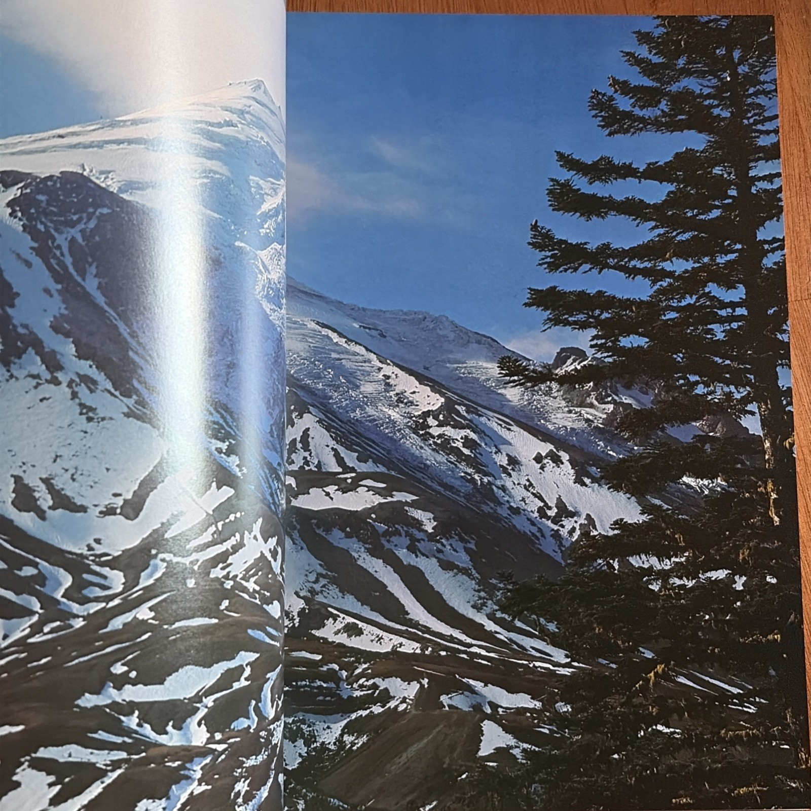 Mount St. Helens: A Changing Landscape by Chuck Williams And Ray Atkeson