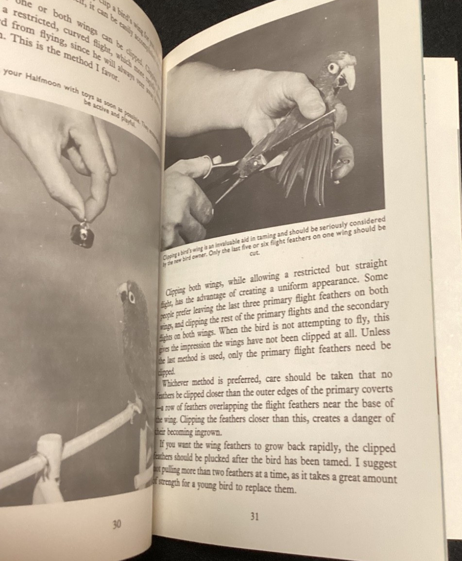 Halfmoons Dwarf Parrots William Allen Bird Pet Care Manual 1967 PB Training Diet