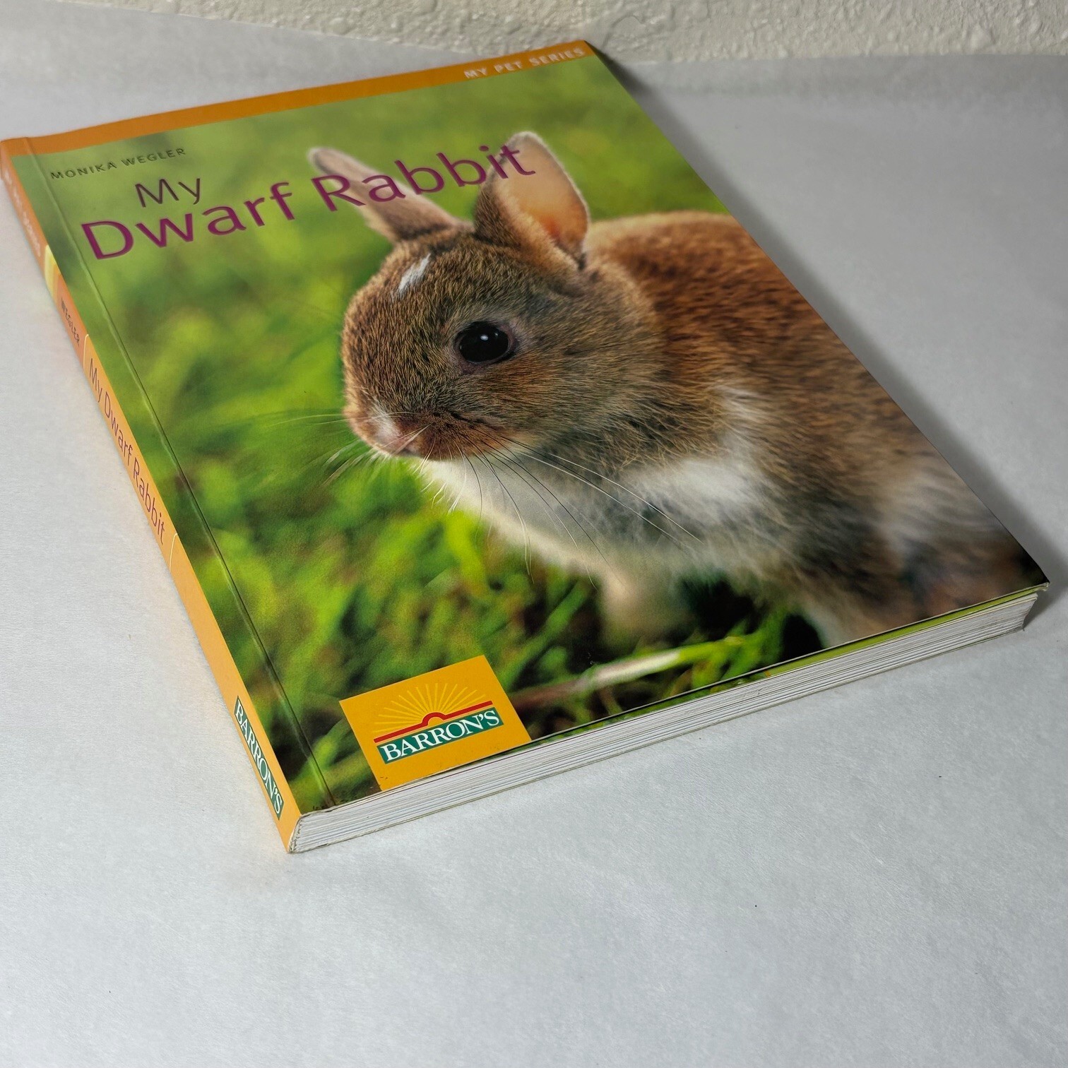My Dwarf Rabbit Papperback Book Instructive Information