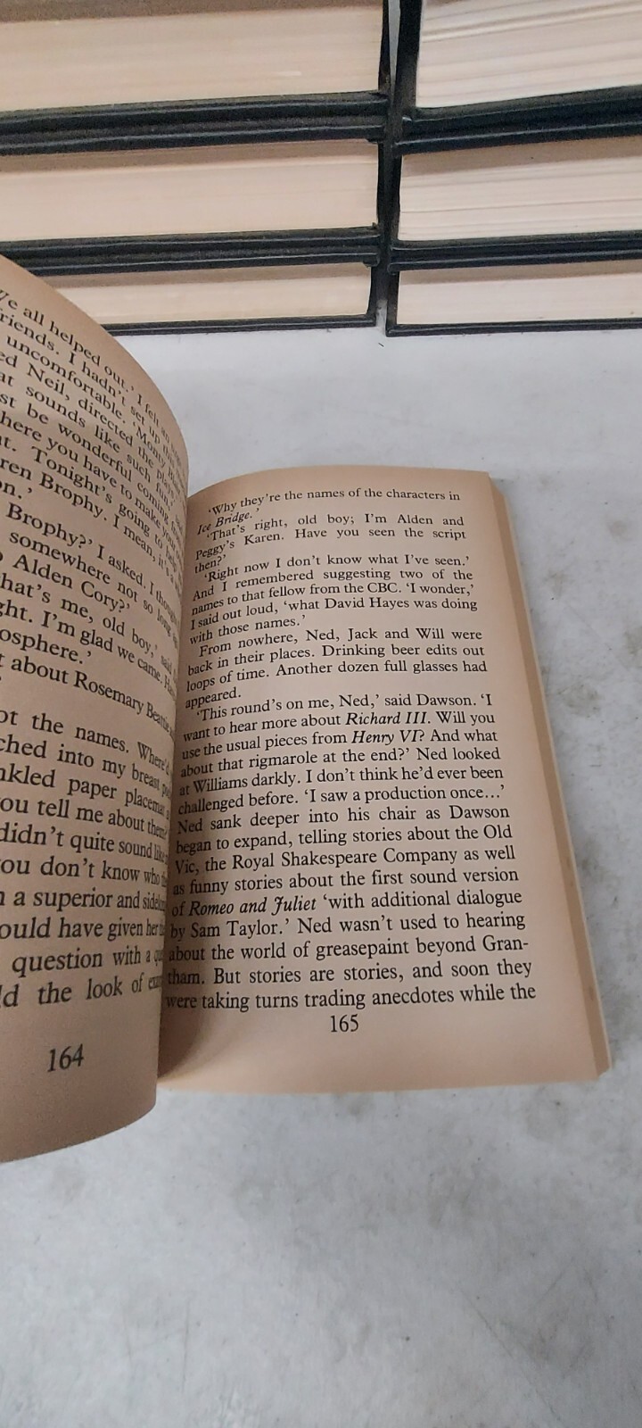 Howard Engel Murder On Location Large Print Paperback