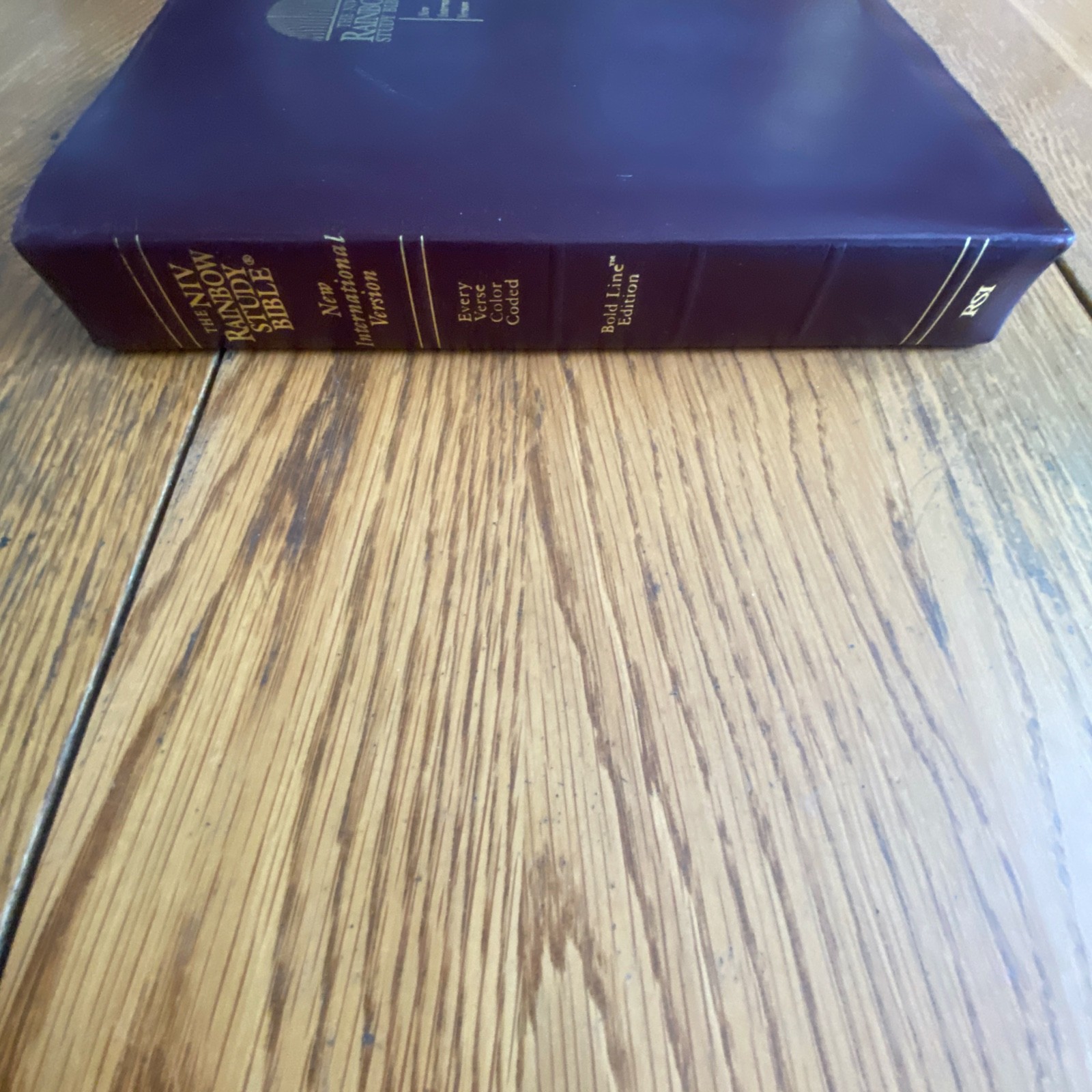 The NIV Rainbow Study Bible Bold Line Edition Burgundy