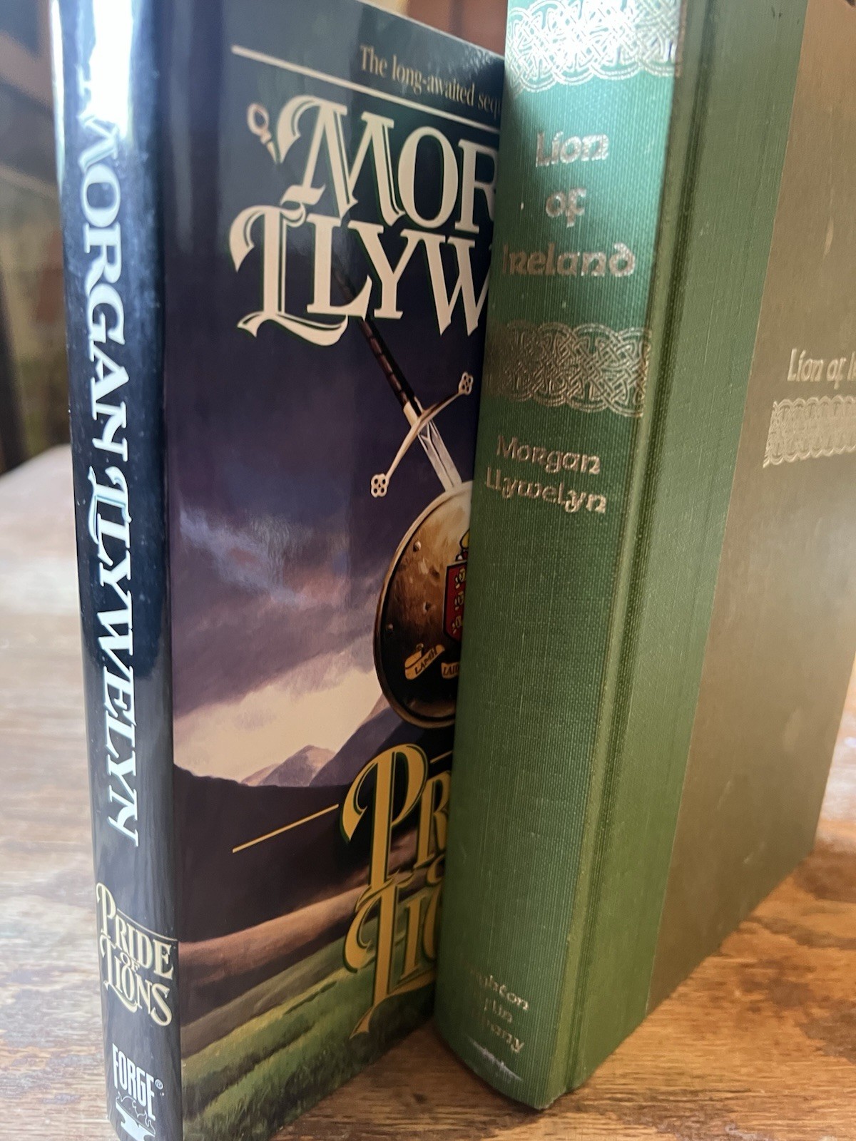 Morgan Llywelyn: two hardback books, Historical fiction: Lion of Ireland 1st Ed
