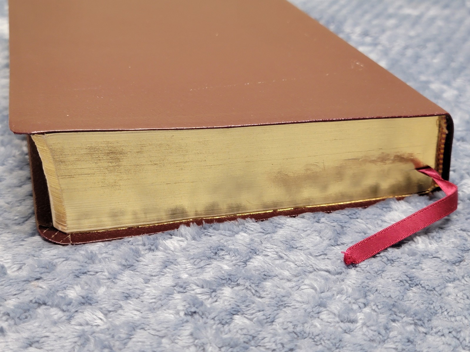 Life Application Study Bible New Living Translation Tyndale Burgundy Book