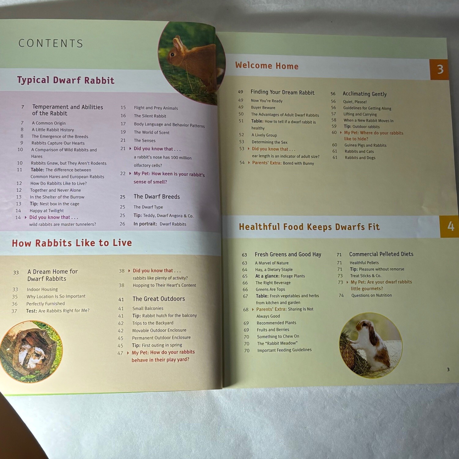 My Dwarf Rabbit Papperback Book Instructive Information