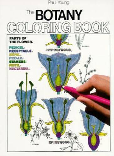 The Botany Coloring Book – Paperback By Paul Young – GOOD