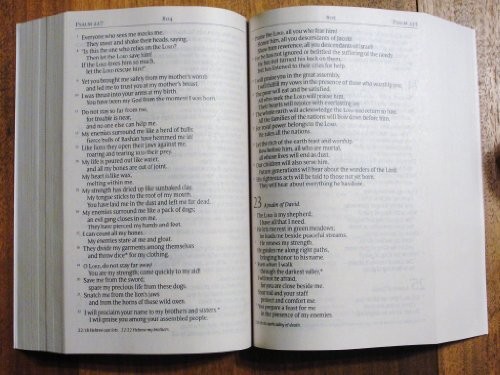 New Living Translation Large Print Bible, Burgundy, …
