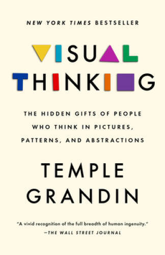 Visual Thinking: The Hidden Gifts of People Who Think in Pictures, Patter – GOOD