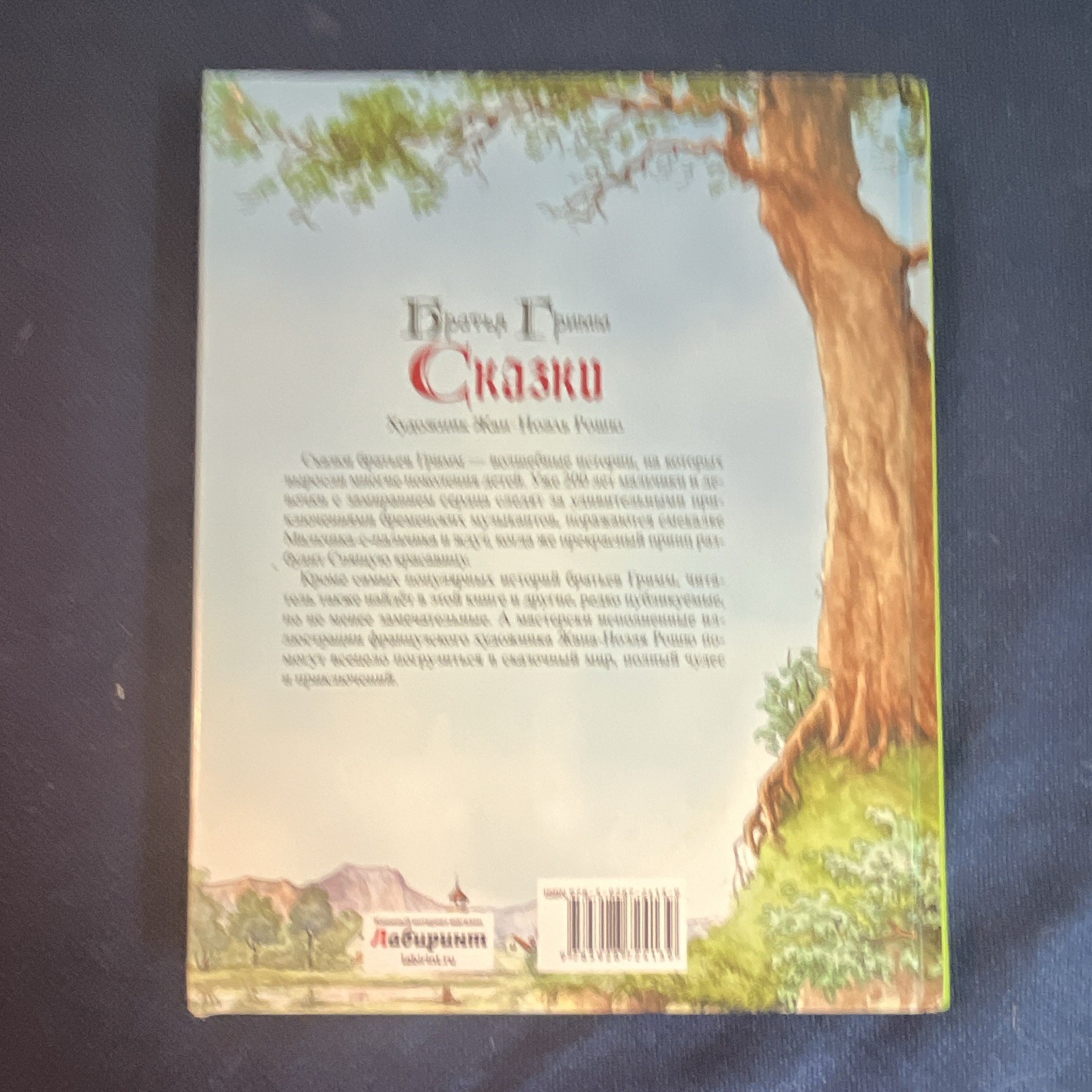 Братья Гримм Сказки Russian HC Illustrated Picture Book Ages 4-8 Лабиринт