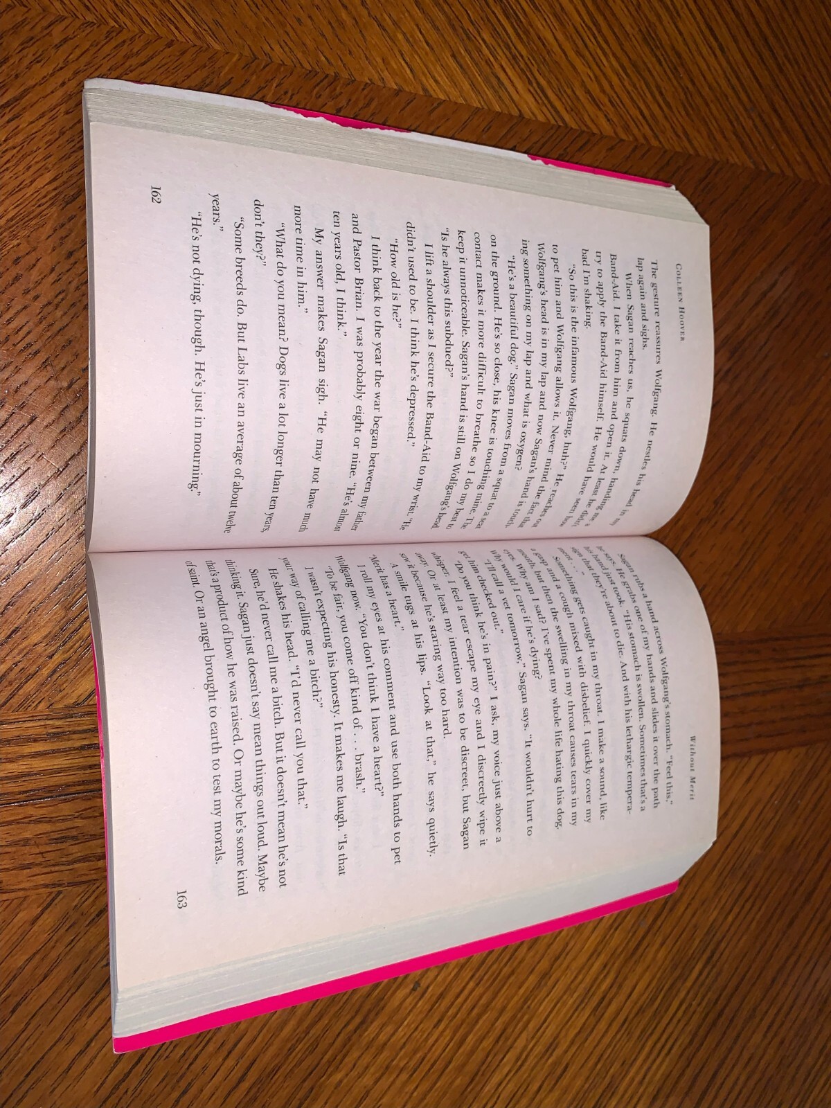 Without Merit : A Novel by Colleen Hoover (2017, Trade Paperback)