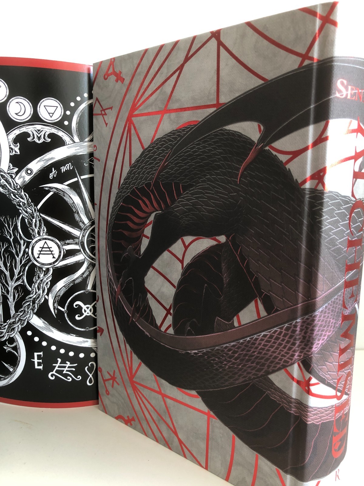 Alchemised by SenLinYu Dreamerwhale edition (in Italian) + overlays