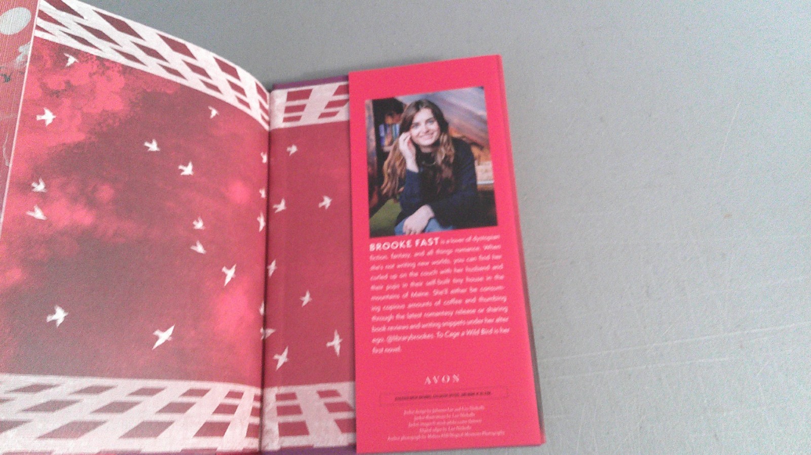 To Cage A Wild Bird 2025 HC Deluxe Limited Edition by Brooke Fast