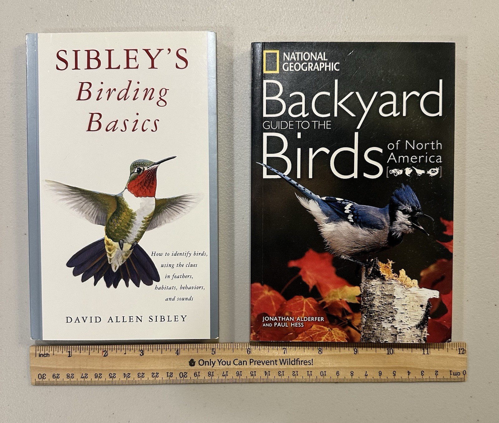 Sibley’s Birding Basics & Nat Geo Backyard Birds Lot 2 Paperbacks