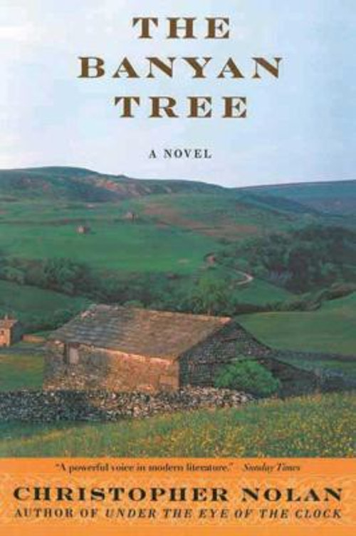 The Banyan Tree : A Novel Paperback Christopher Nolan